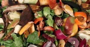 Quest recycled more than 600,000 tons of food waste in 2015. 