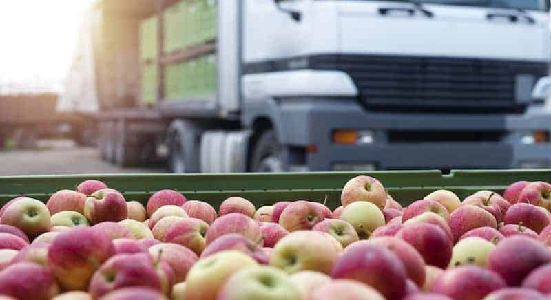 Food Logistics & Food Distribution