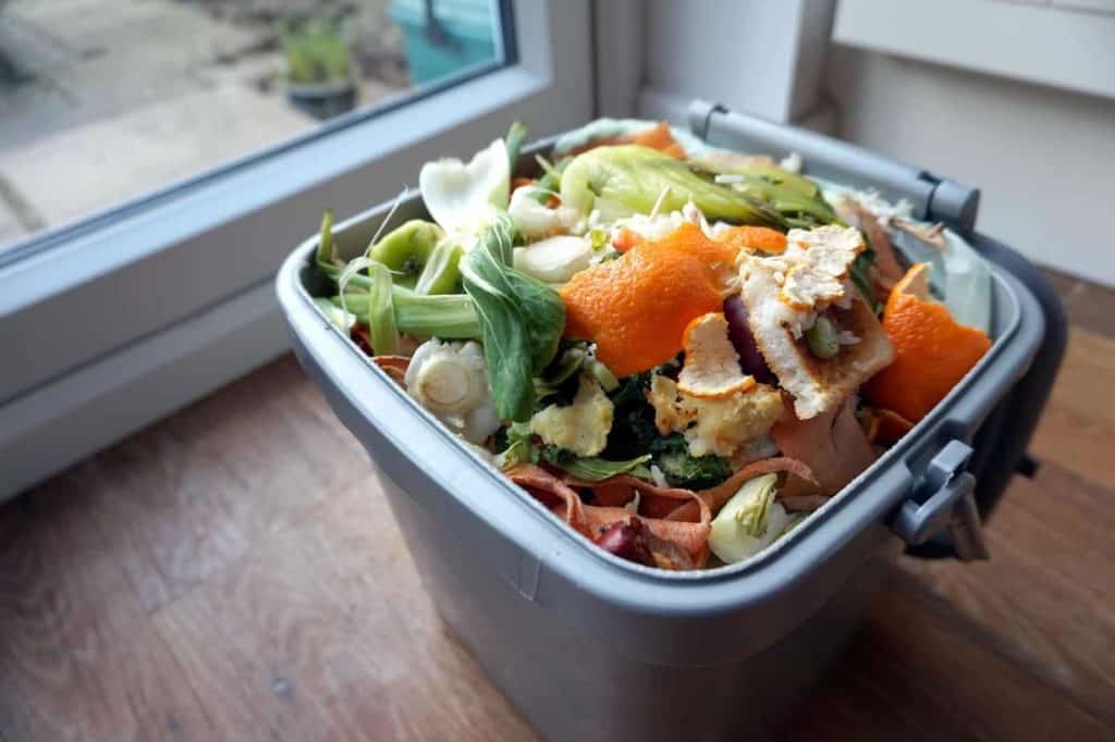 Food waste landfill ban