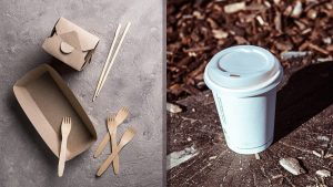 biodegradable versus compostable