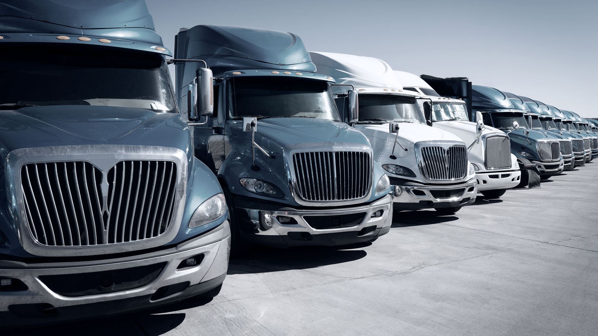 Fleet Management Companies Secret to Carbon Neutral Operation