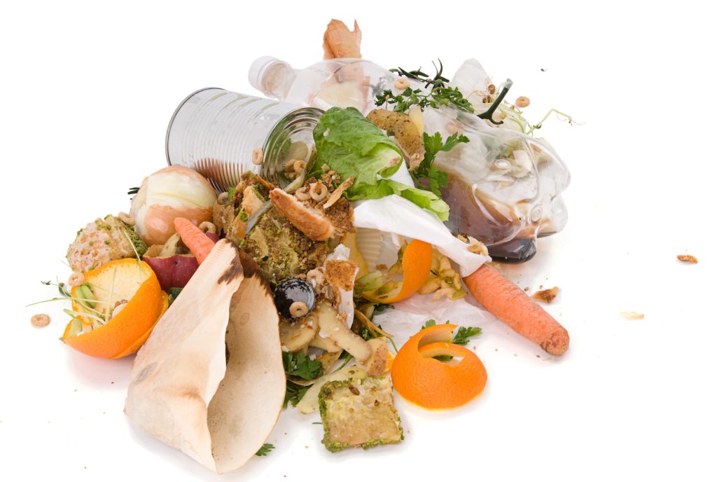 Food Waste