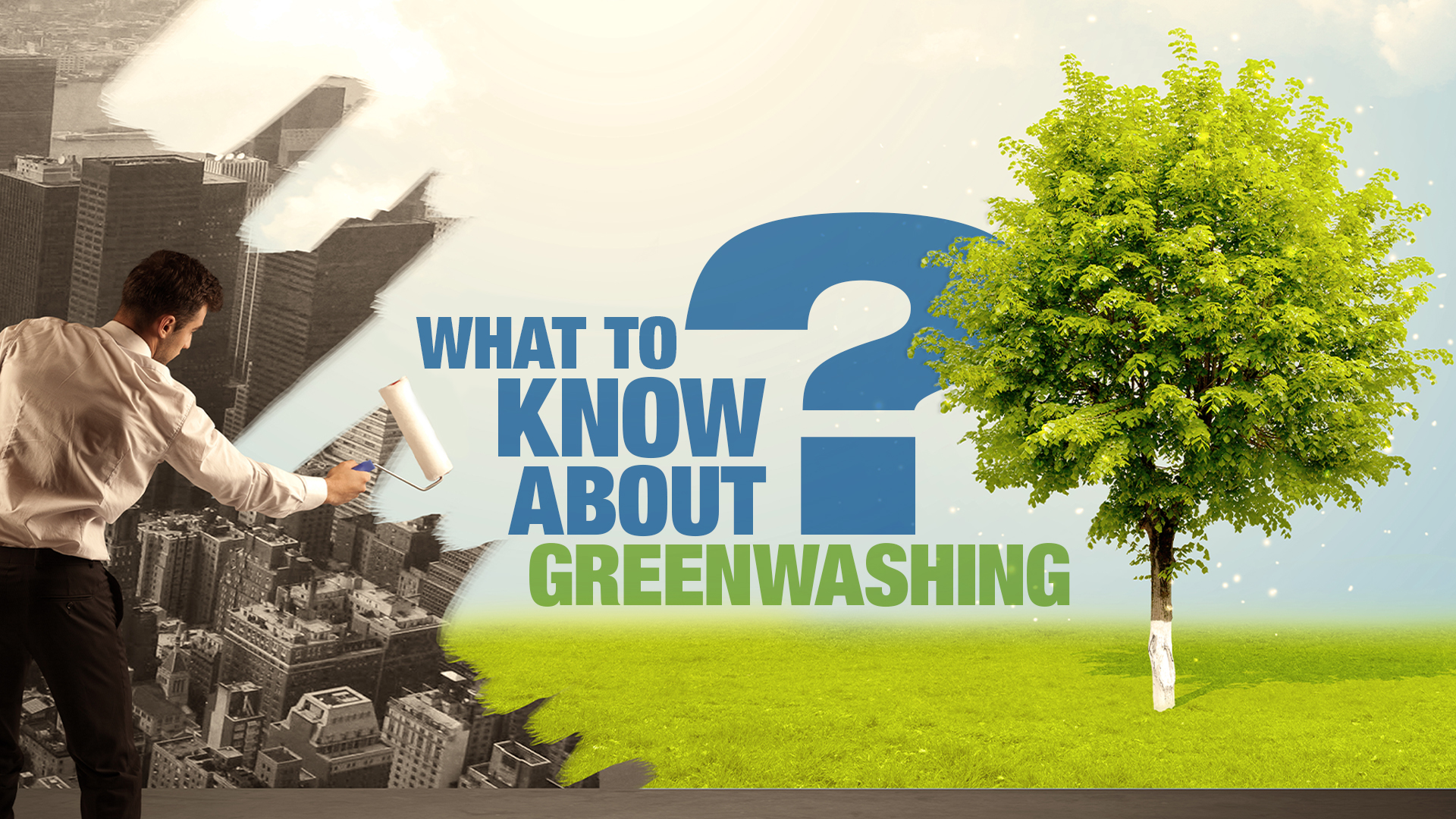 Cleanse Your Company of Greenwashing Worries with A Waste-Minded Sustainability Plan