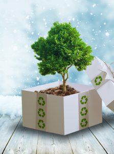 Three Ways Your Business’ Waste Streams Can Adapt, Survive And Thrive During The Holiday Season