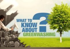 Cleanse Your Company of Greenwashing Worries with A Waste-Minded Sustainability Plan