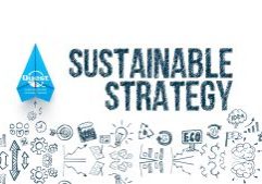 Business Robust Sustainability Strategies
