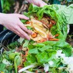 steps to reduce food waste