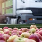 Food Logistics & Food Distribution